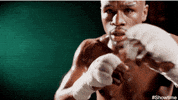 floyd mayweather punch GIF by SHOWTIME Sports