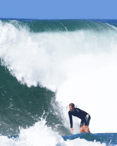 North Shore Surf GIF by FLORENCE