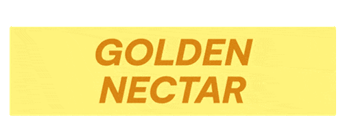 Ice Cream Summer Sticker by Jeni's Splendid Ice Creams