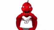 Red Dragons Love GIF by SUNY Oneonta