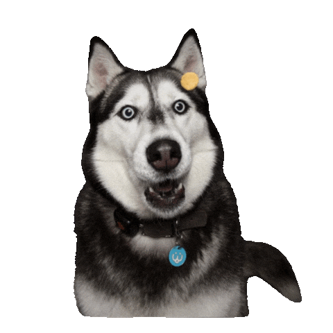 Wah Sticker
