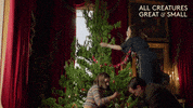 Decorating Merry Christmas GIF by All Creatures Great And Small
