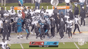 Carolina Panthers Football GIF by NFL