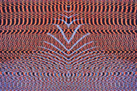 GIF by Leo Pyrata