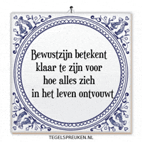 Moment Nl GIF by Tegelspreuken.nl