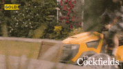 Comedy Gold GIF by UKTV