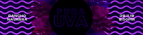 GIF by hugo