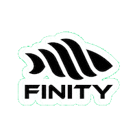 Catch And Release Berlin Sticker by Finity Fishing