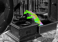 cypola  GIF
