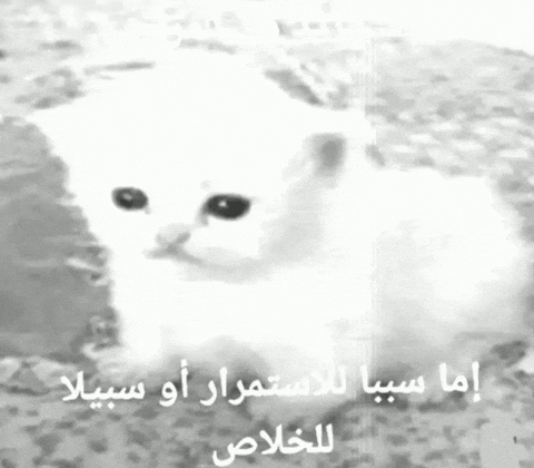 uvs giphyattribution giphycreatortest GIF