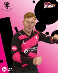 Ginger Celebrate GIF by Somerset County Cricket Club