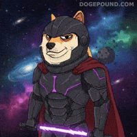Like A Boss Deal With It GIF by Doge Pound