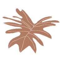Plant Leaf Sticker