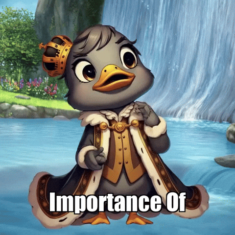 Wisdom Reflection GIF by sirduckbeth