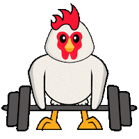 Gym Chicken Sticker