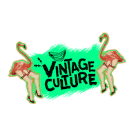 vintage culture Sticker by Estúdio AP.46