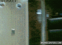 Scared Halloween GIF