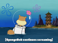 season 4 whale of a birthday GIF by SpongeBob SquarePants