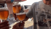 stormbeer drink beer bier cerveja GIF