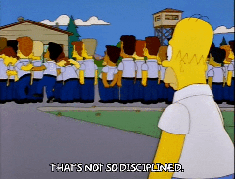 homer simpson episode 25 GIF