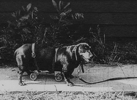 buster keaton daydreams GIF by Maudit