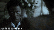 aldis hodge drama GIF by Underground