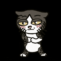 irene_hsyu cat hello thankyou bow GIF