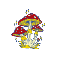 swampsaladclothing psychedelic mushrooms swampsalad Sticker