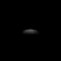 JosecuervoMx tequila jose jalisco cuervo GIF