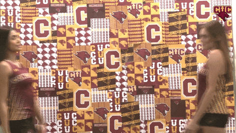 Wtf GIF by CUCougars