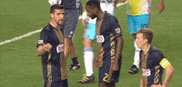 GIF by Philadelphia Union