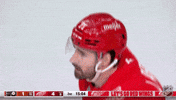 Happy Red Wings GIF by NHL