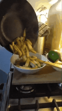 giphy.gif