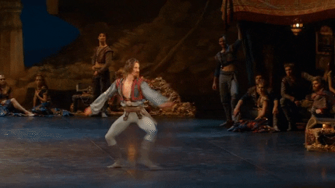 Enblecorsaire GIF by English National Ballet