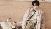 Stray Kids Chan GIF