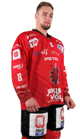 Hockey Steelers Sticker by HDD SIJ Acroni Jesenice