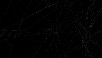 Phyllotaxis ˌFɪləʊˈTaksɪs GIF by Quasi Crystals