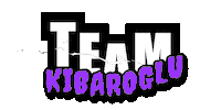 Team Kibar Sticker by kibaroglusportgym