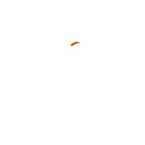 Secret Brunch Sticker by Secret Parties