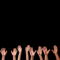 Studiocooliejoelie  GIF