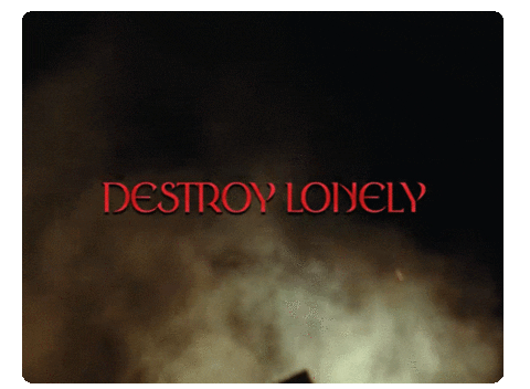 Music Video Fashion GIF by Destroy Lonely