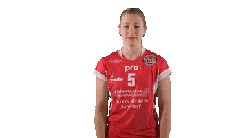Sport Volleyball Sticker by LP Viesti