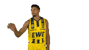 Ewe Baskets Basketball Sticker by EWE Baskets Oldenburg