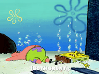 season 6 episode 3 GIF by SpongeBob SquarePants