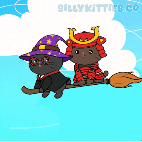 Harry Potter Cat GIF by Silly Kitties