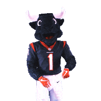 Lets Go Football Sticker by Houston Texans