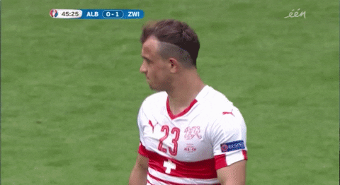 euro 2016 GIF by Sporza