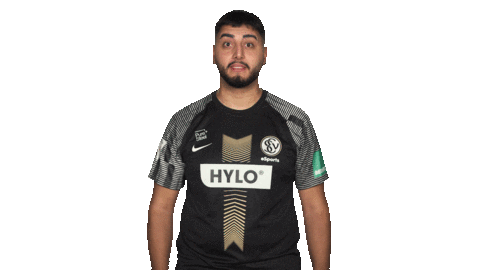 Wave Hello Sticker by Bundesliga