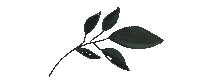 Flower Plant Sticker