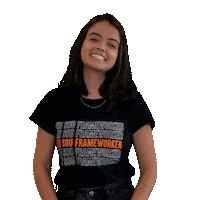 Vempraframe Sticker by Framework Digital